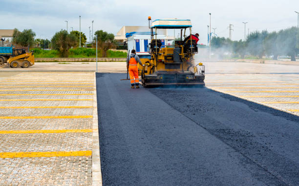 Best Driveway Pressure Washing  in Willamina, OR